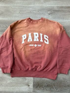 ANINE BING Paris Jaci Sweatshirt Organic Cotton Washed Faded Terracotta Women S